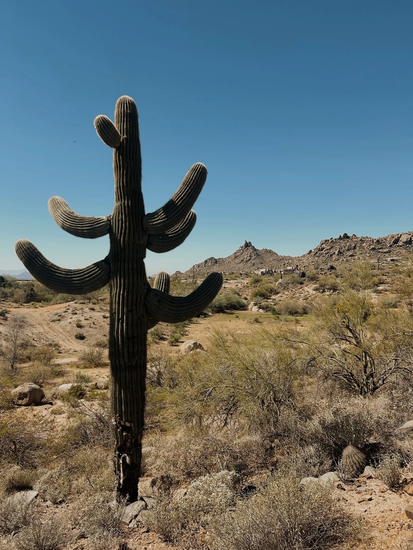 Cool shot I got a few days ago hiking around in Arizona between shows.