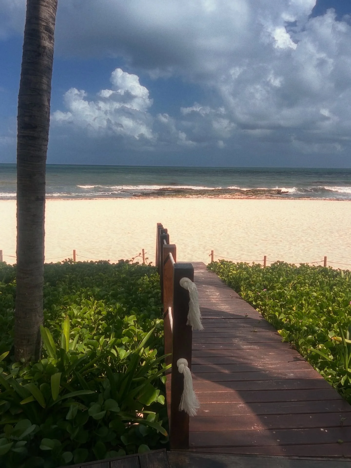 Some beach