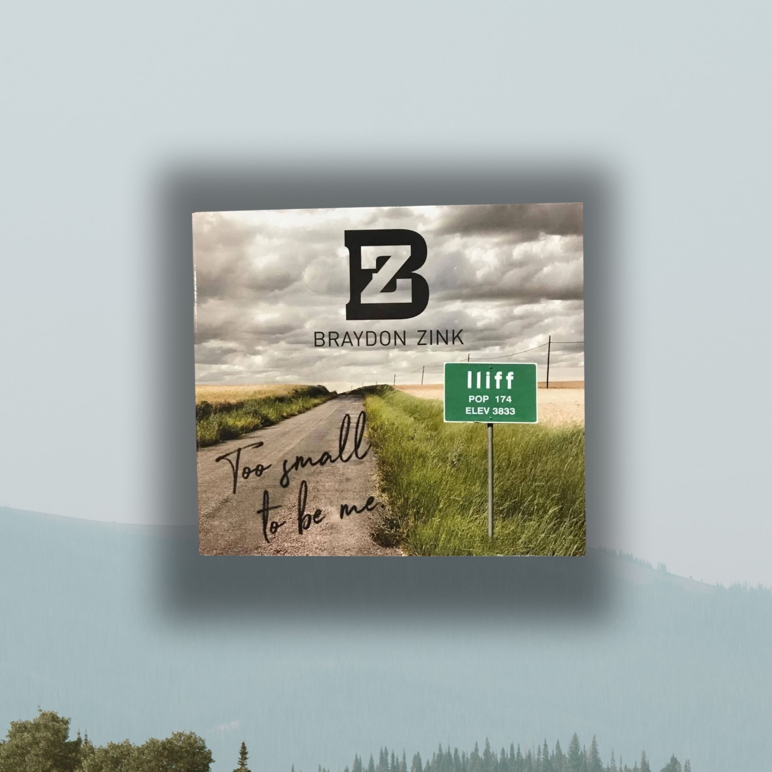 Physical copy of "Too Small To Be Me" Album