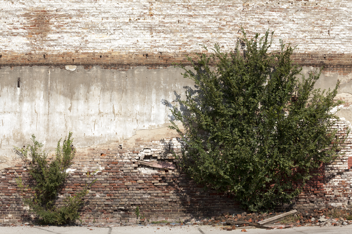 Brick Bushes.jpg