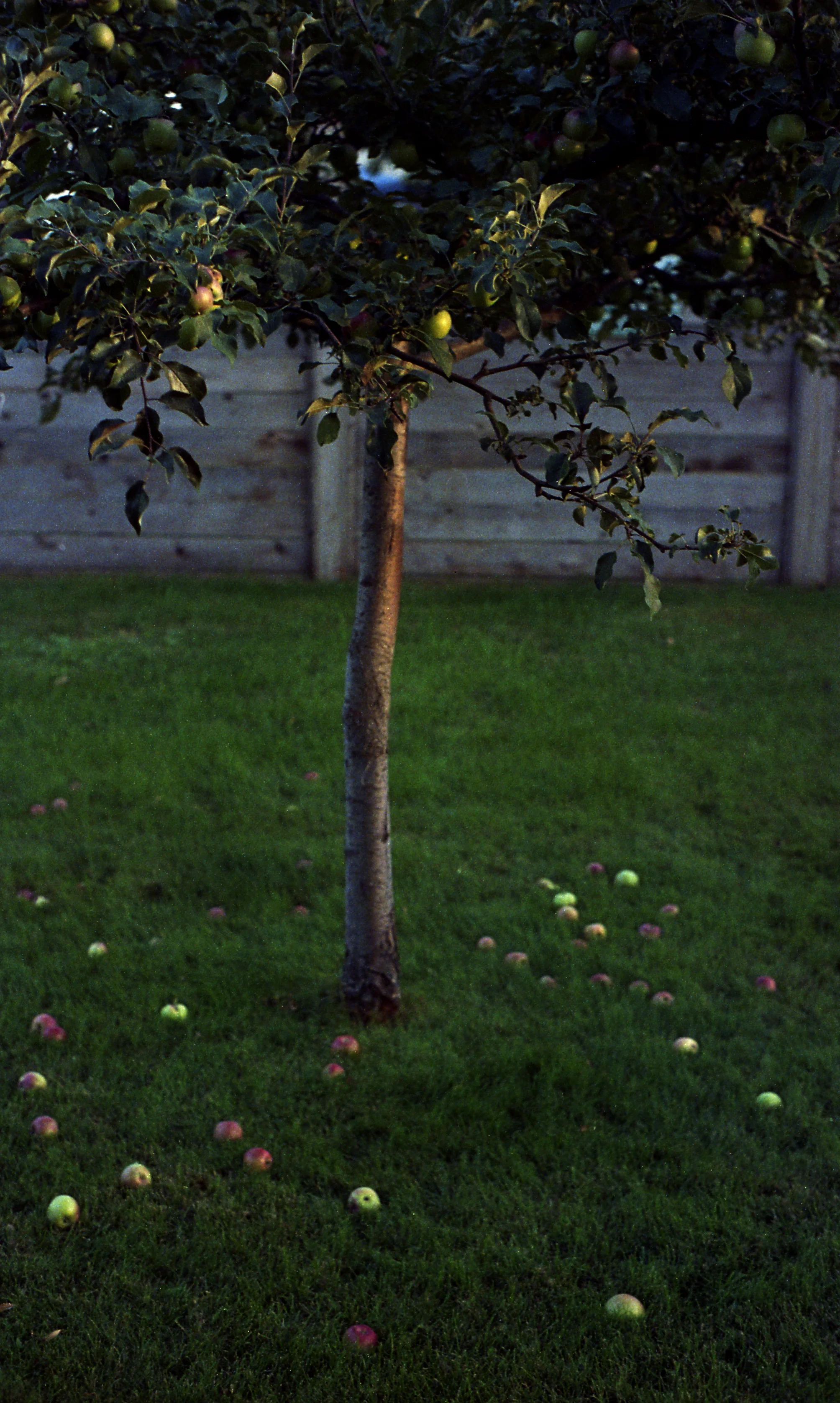 img351.jpg