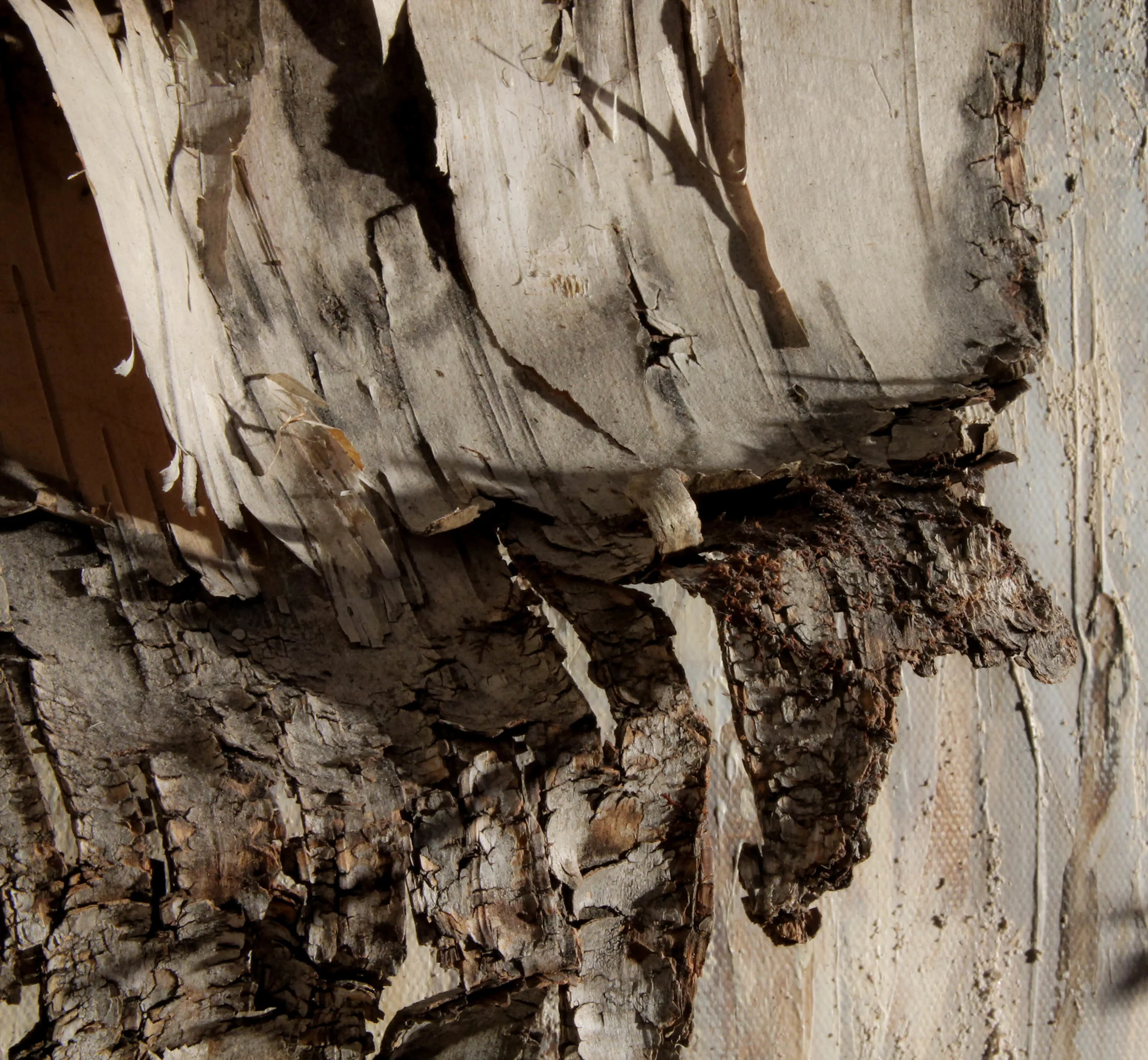 Wood