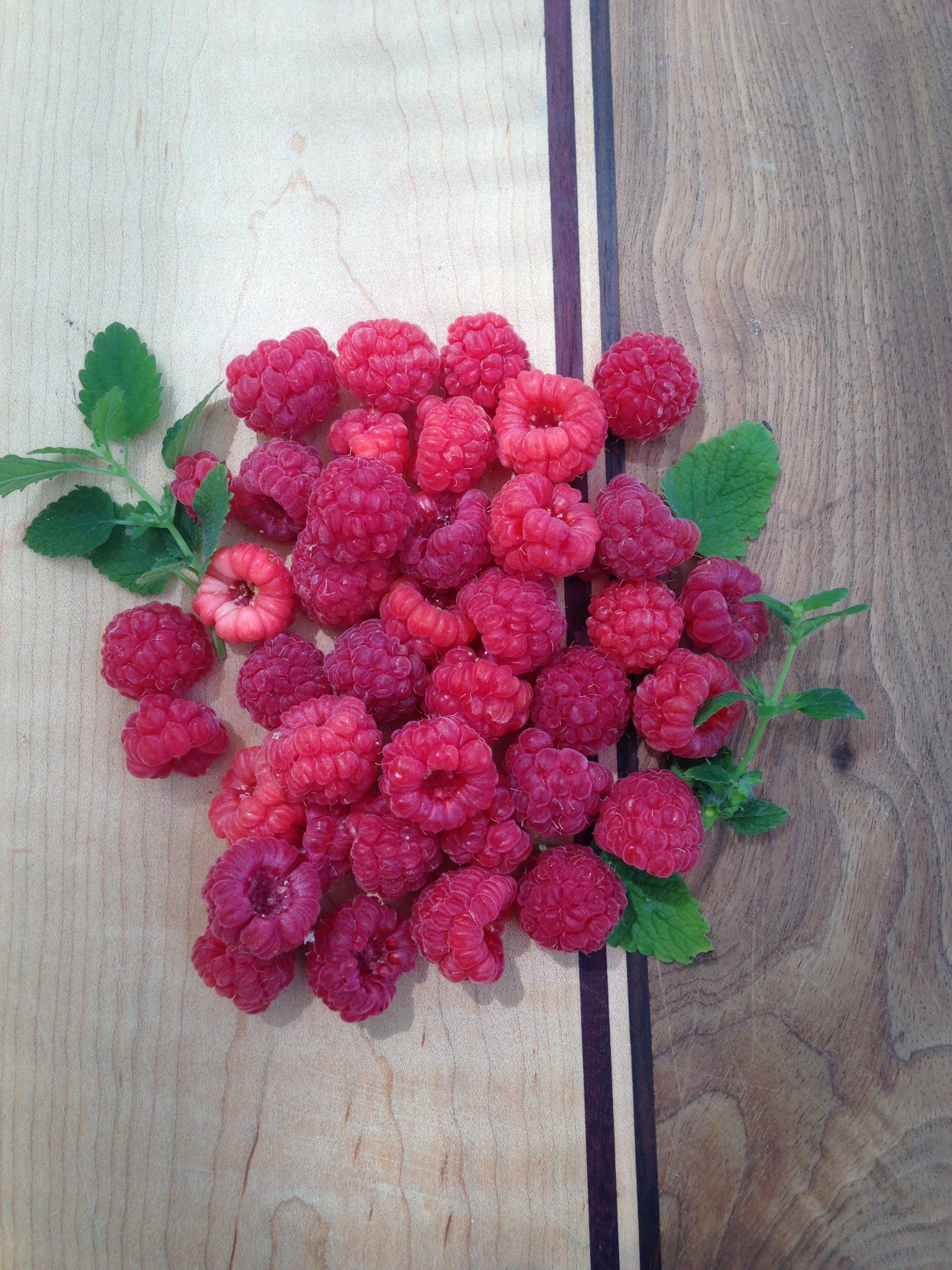 Raspberries.JPG