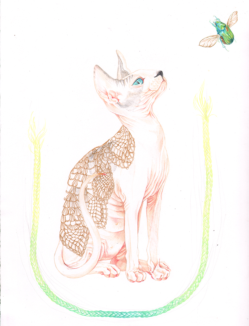 Sphynx - 2016 colored pencil guache and acrylic on watercolor paper
