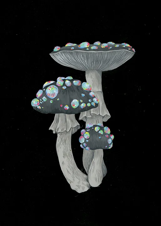 Mushroom4web.jpg