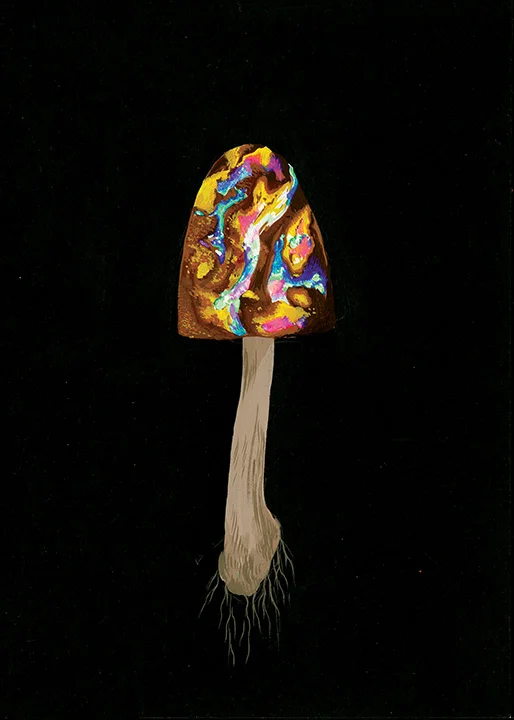 Mushroom3web.jpg