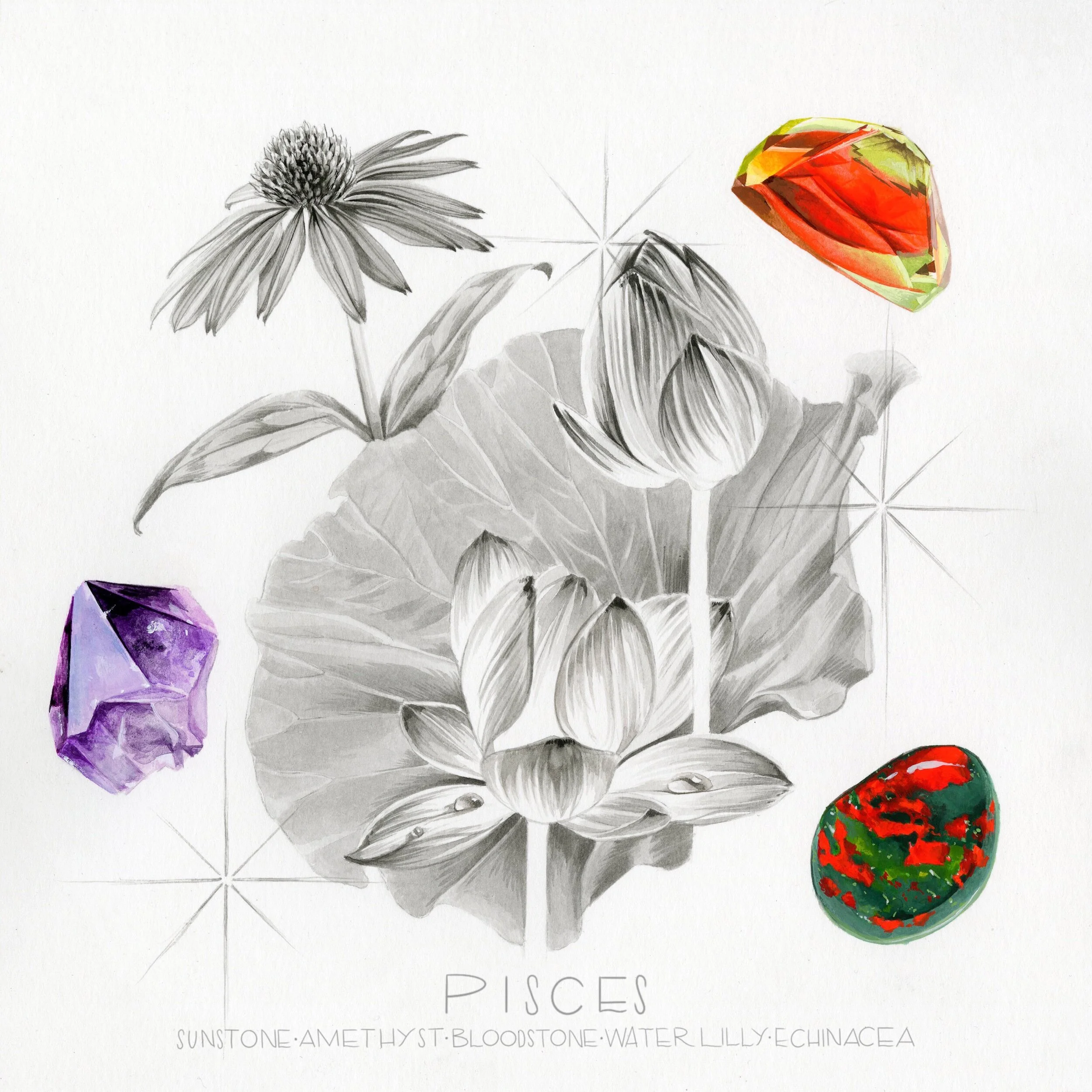 5B5720B3-0679-490A-86A7-FCA6EBE7B5E9