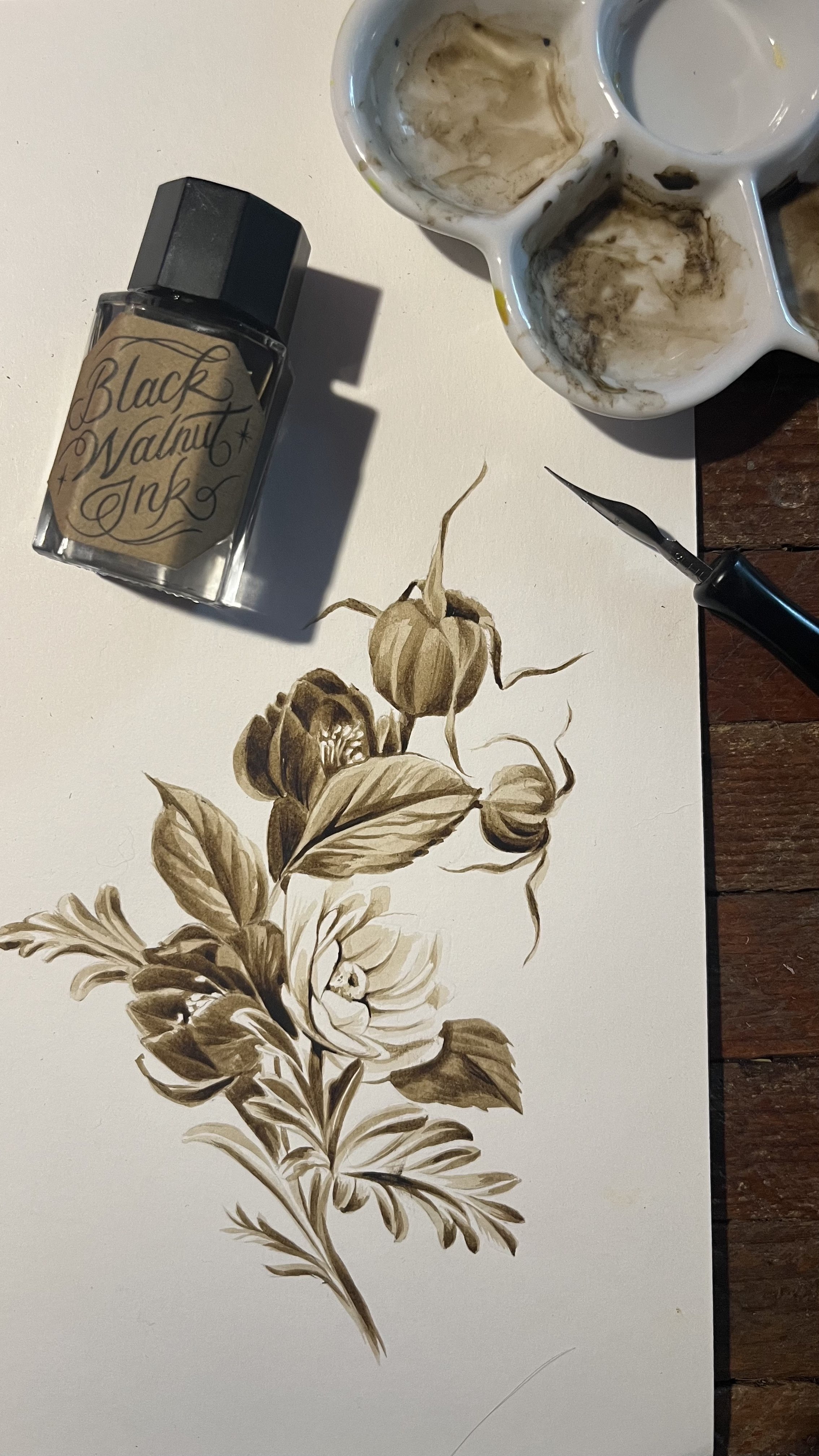 Black Walnut Ink — Meg Adamson