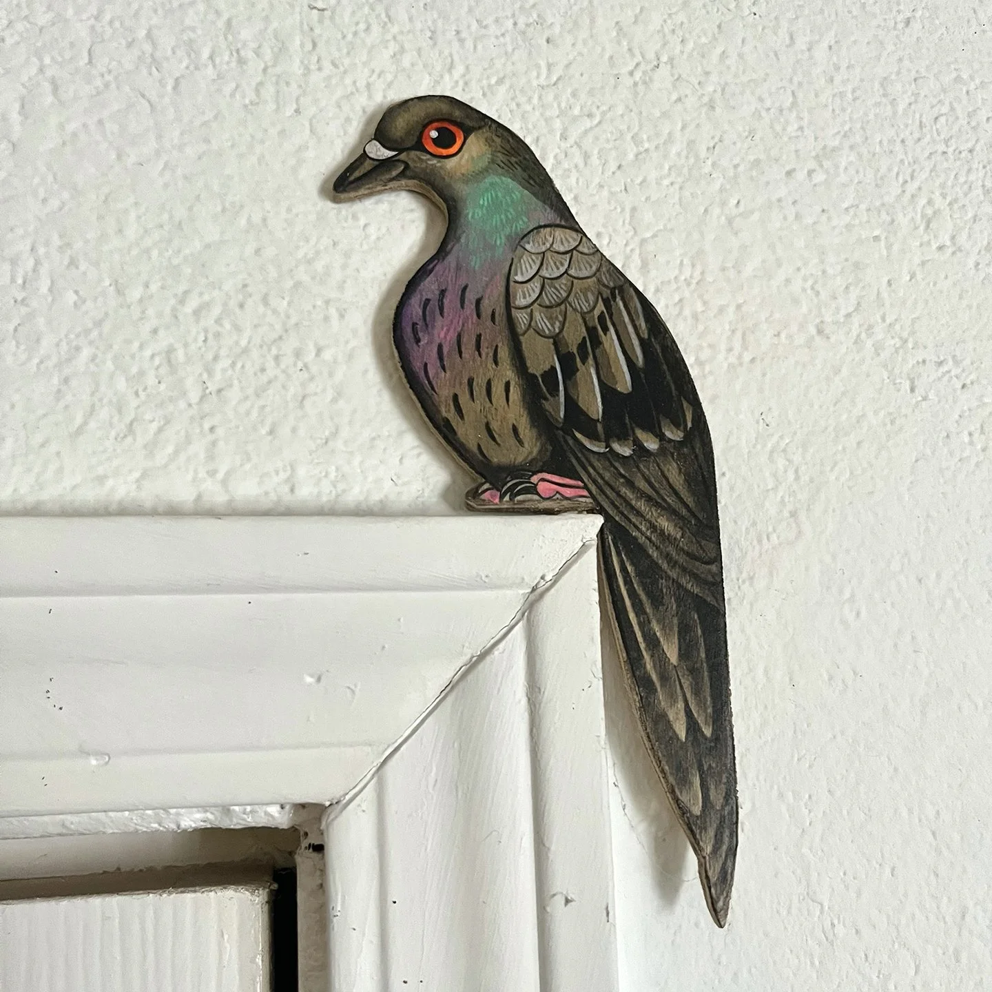 pigeonjpg.jpg