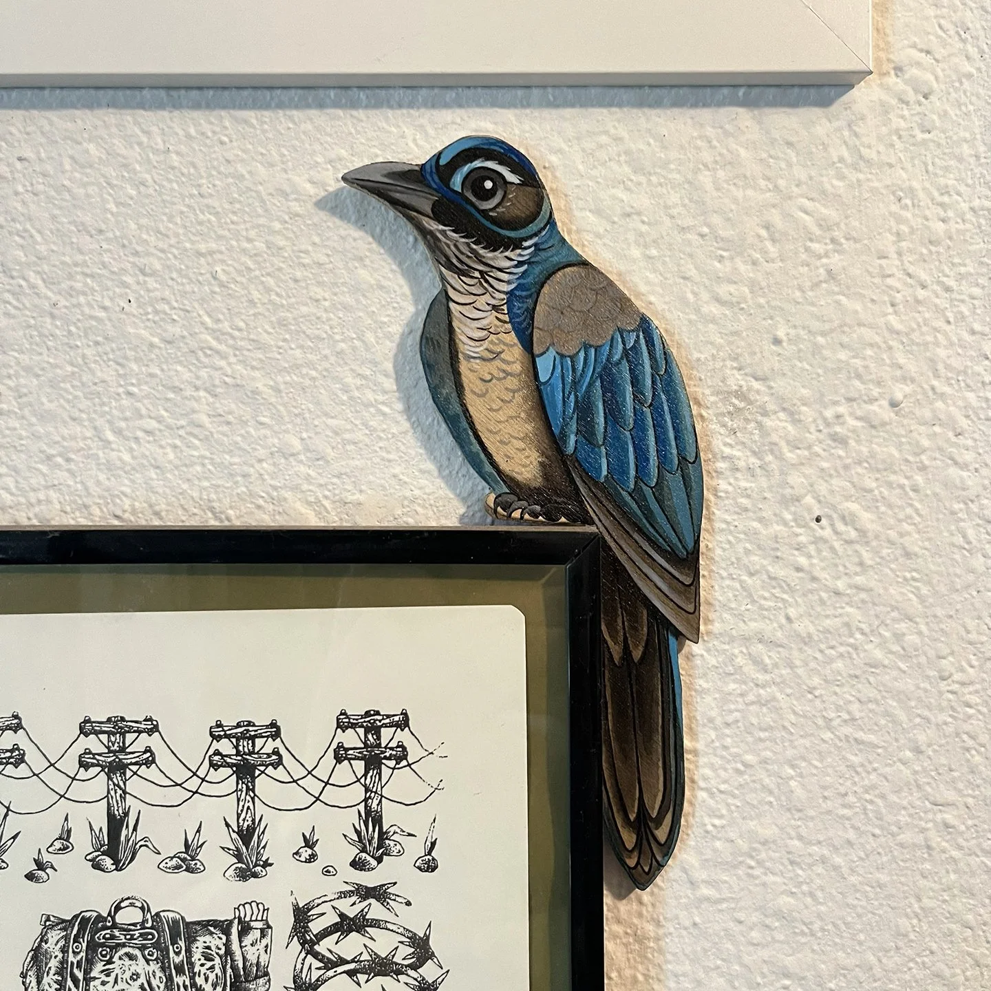 Scrub Jay.jpg