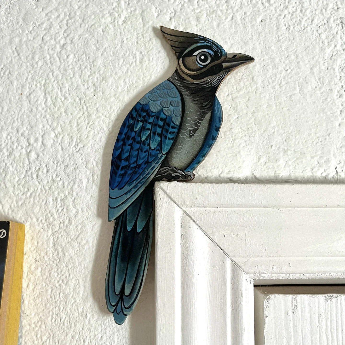 Stellers Jay.jpg