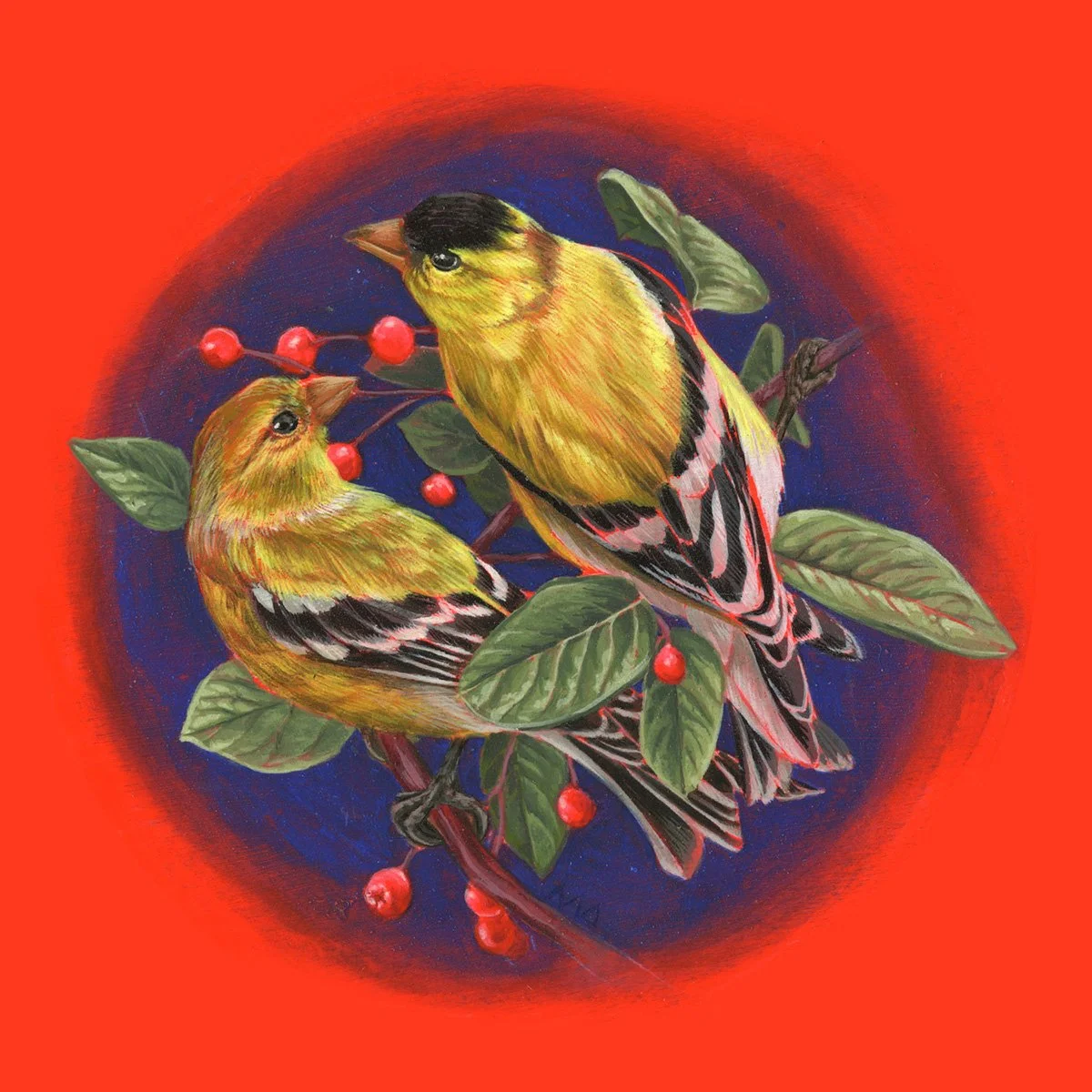 Goldfinches proof red web.jpg