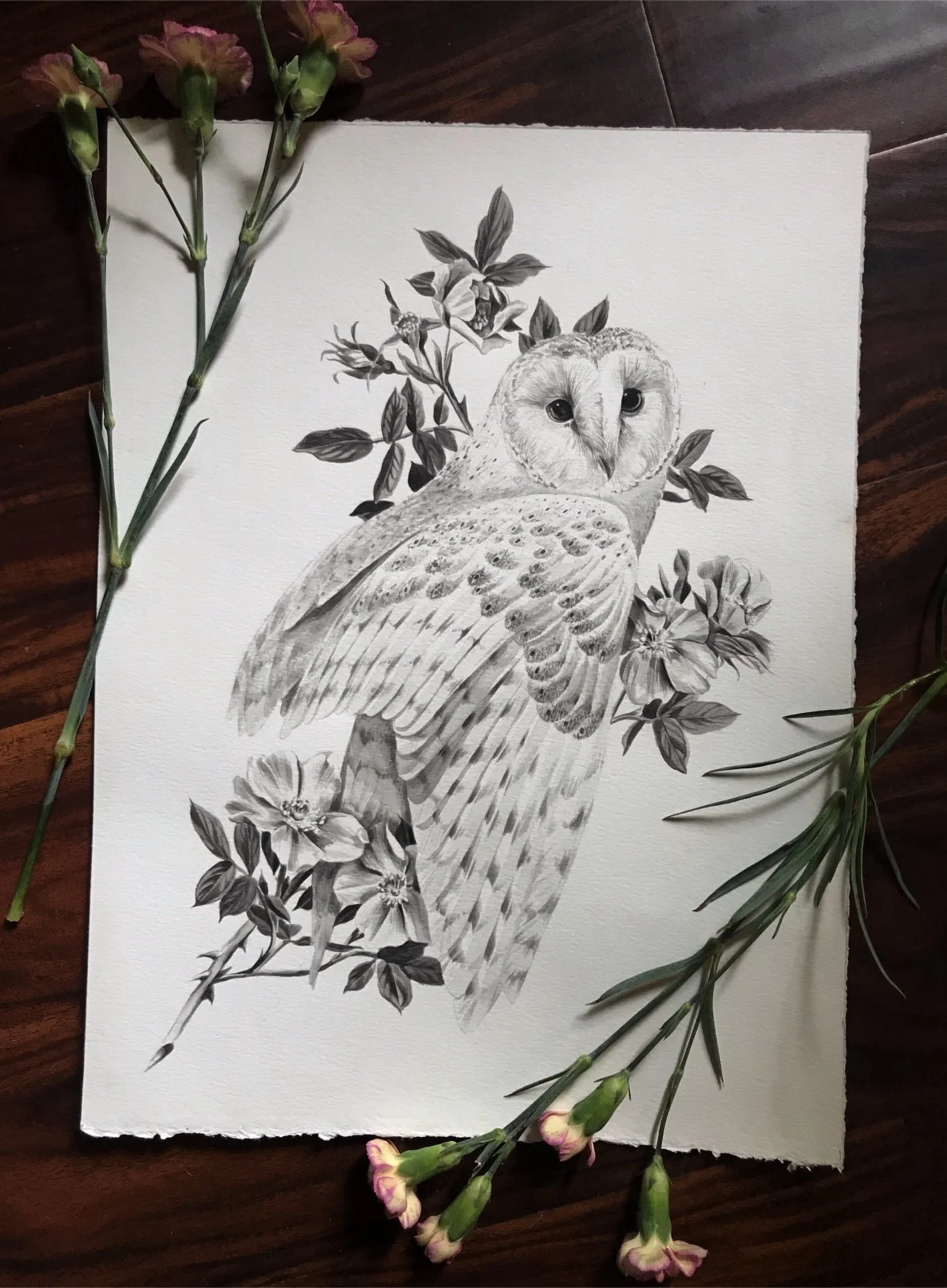 owl project.JPG