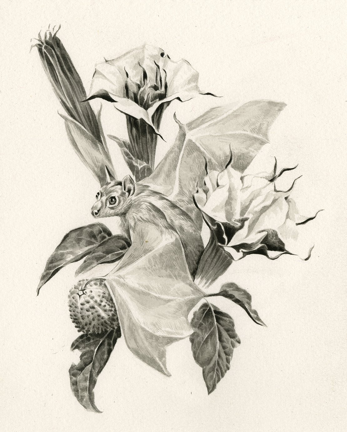 Bat Project 2.jpg