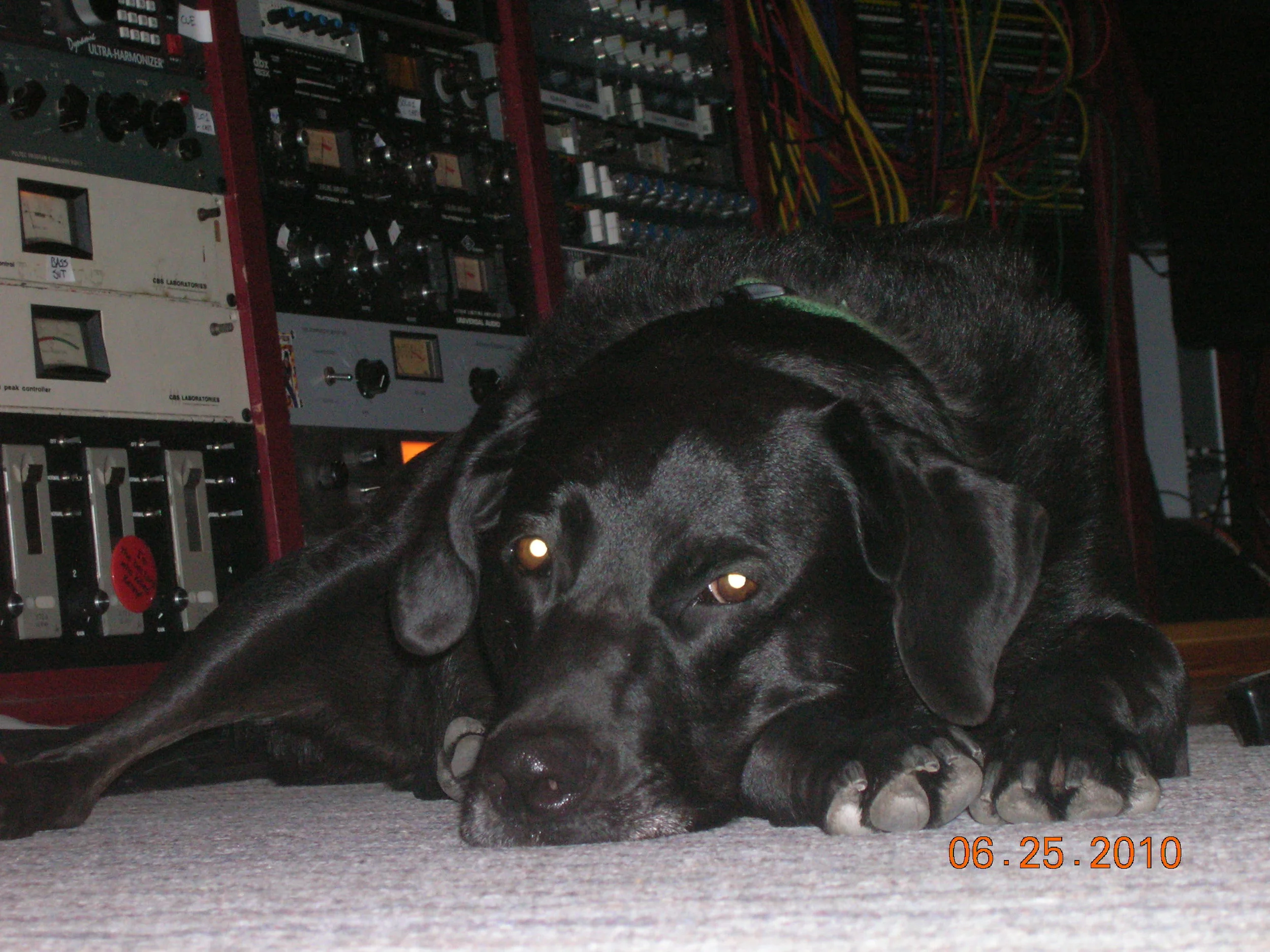 DSCN1965.JPG
