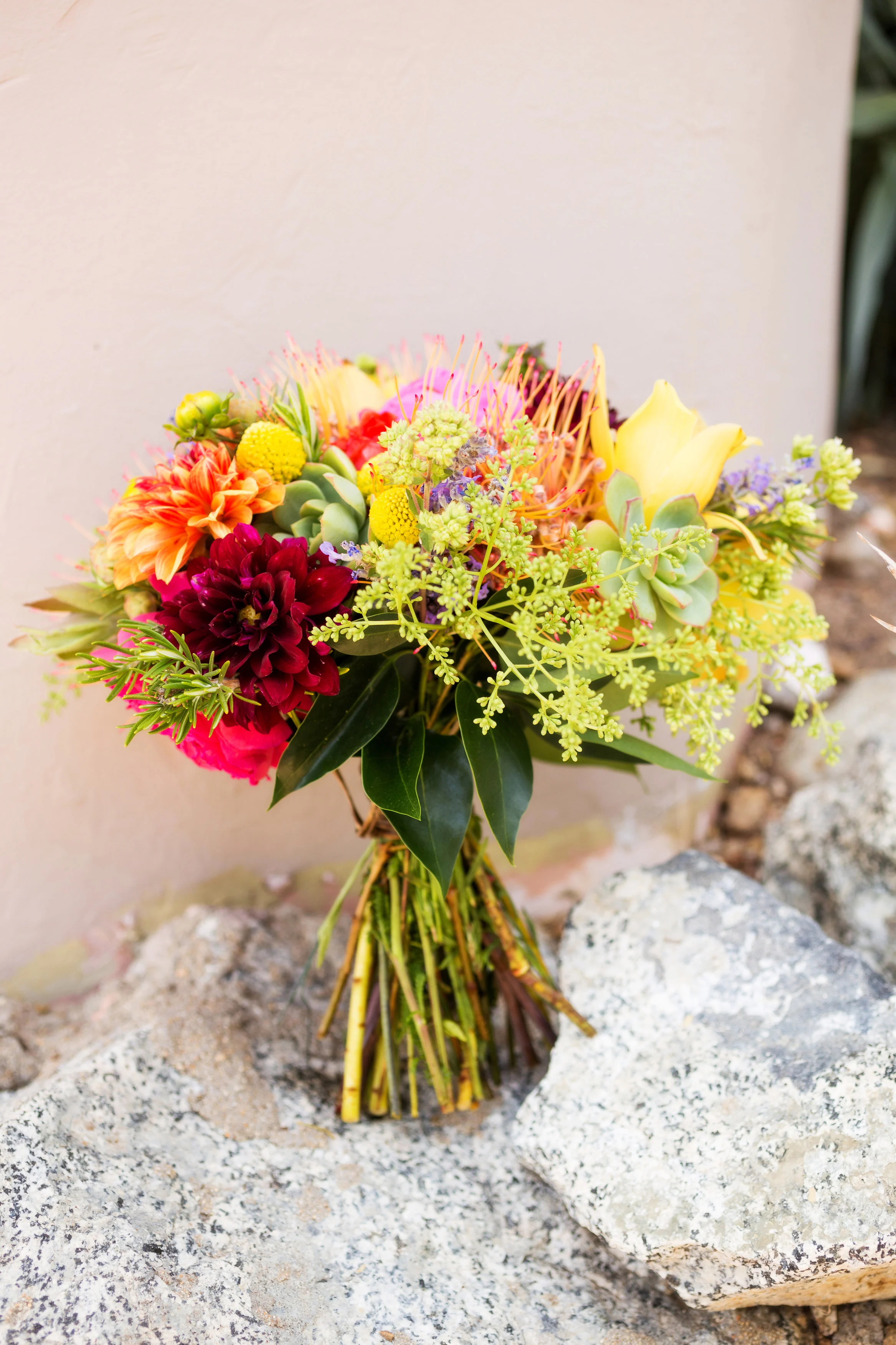 20150620_500.jpg