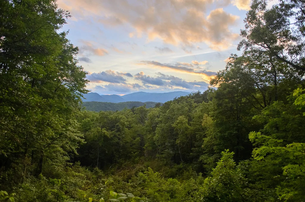 The Smoky Mountains, near the Trillium Gap Trail in Gatlinburg, Tennessee.