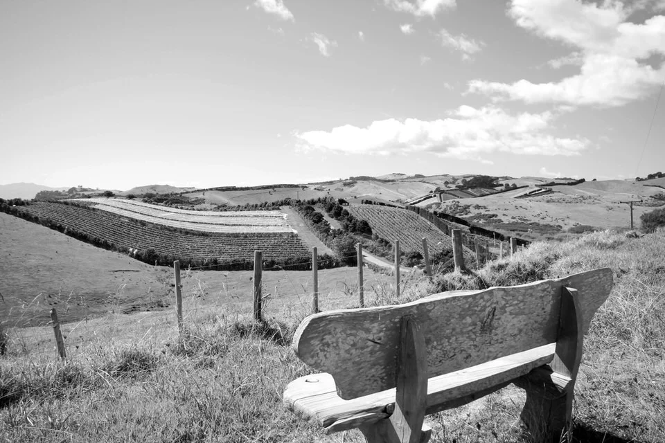 winecountry.jpg
