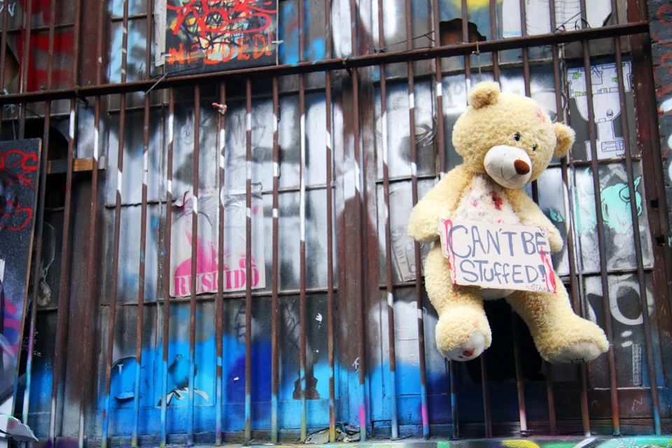 bearmessage.jpg