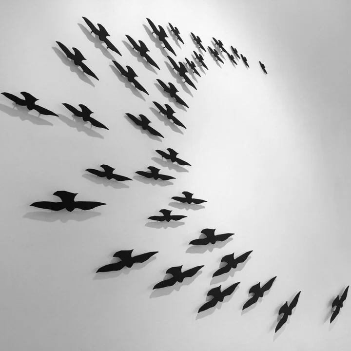 flockofbirds.jpg