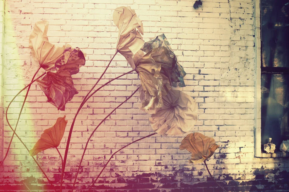 flowers.jpg