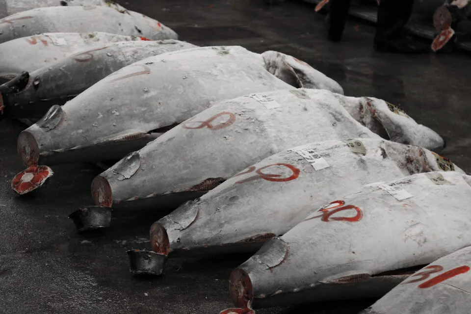 auction.jpg