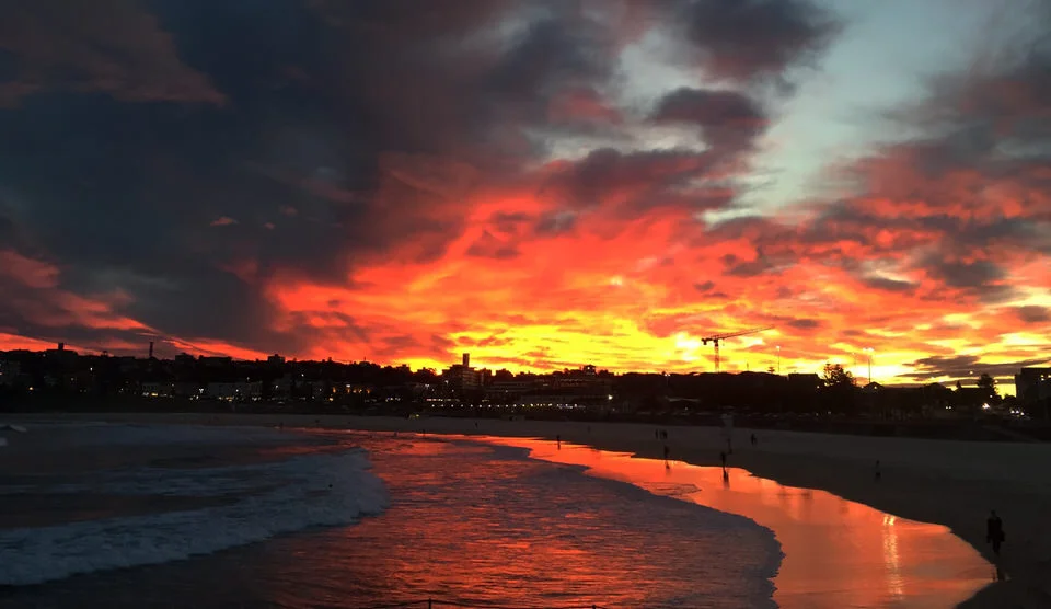 bondi sunset .jpg