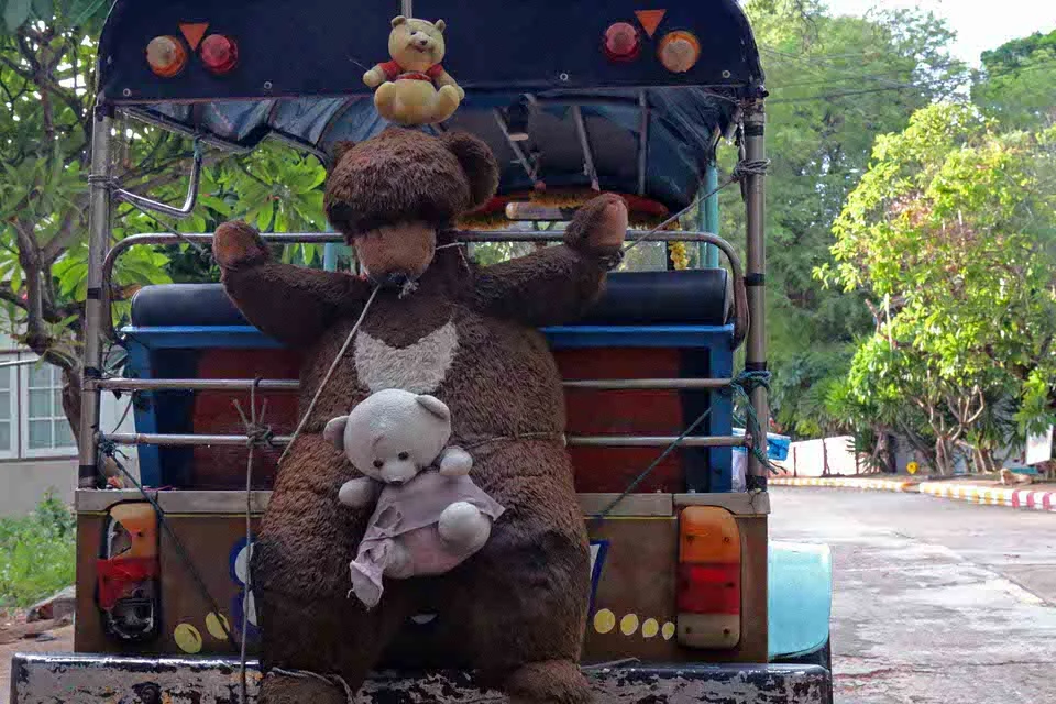 bear.jpg