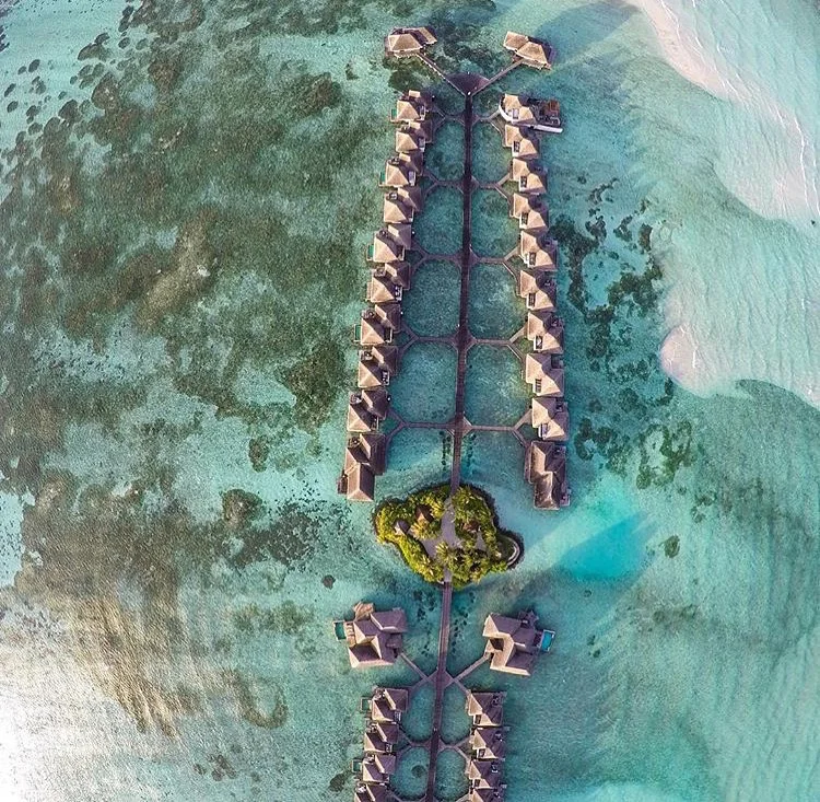 aerial.jpg