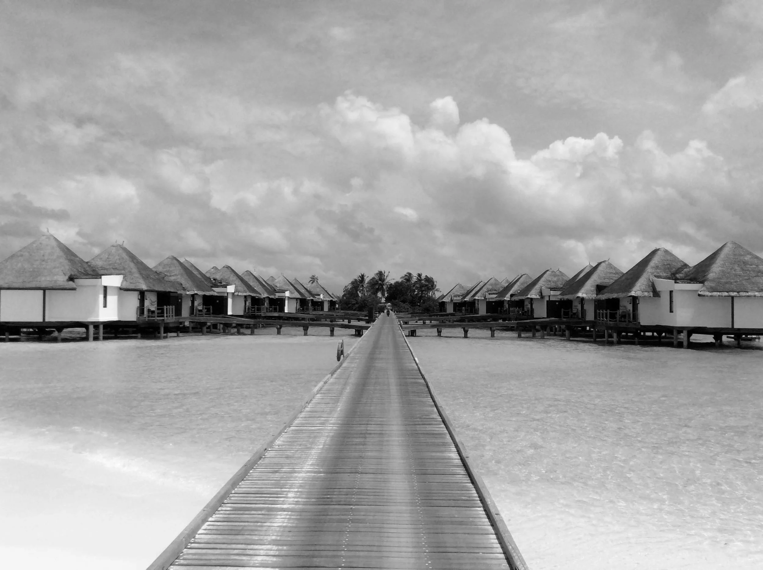 IMG_0071 copy.jpg
