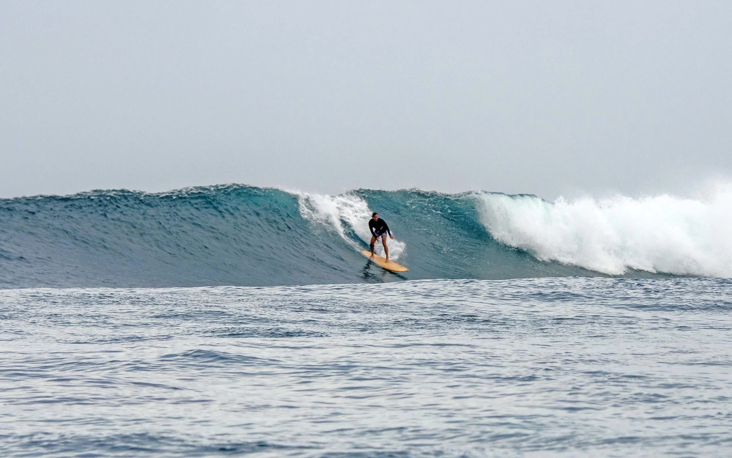 surf2.jpg