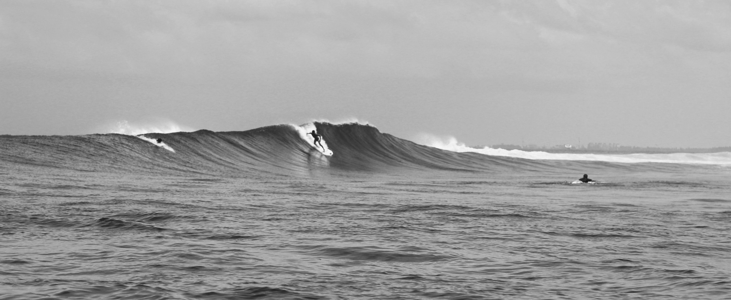 surf4.jpg