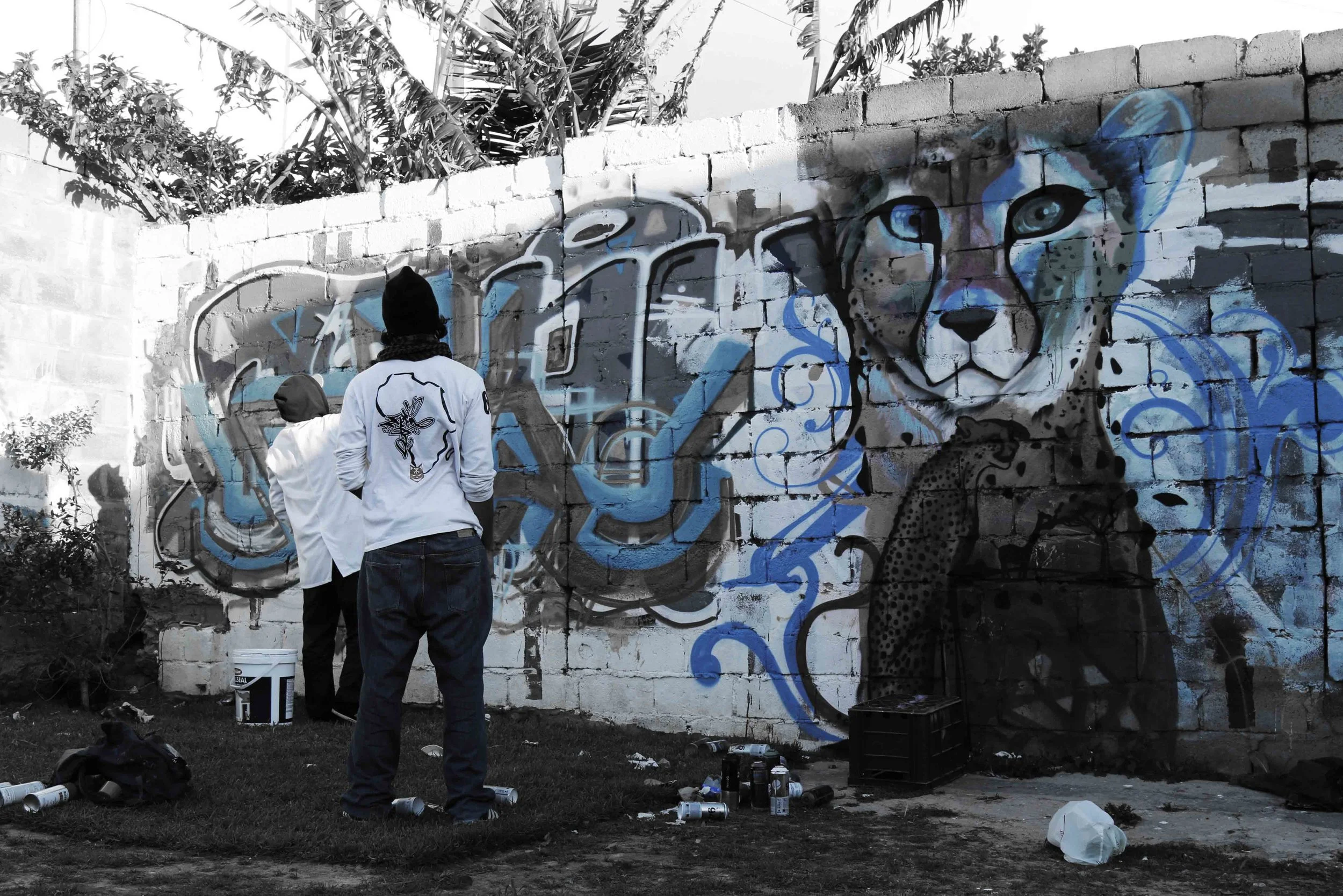 grafitti2.jpg
