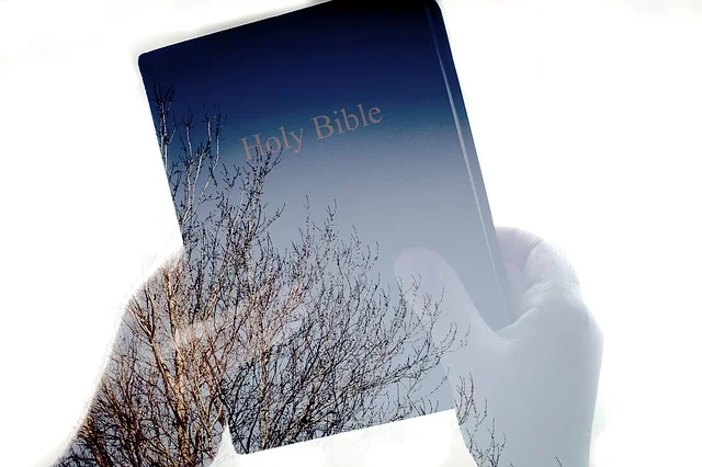 bible-1108074_640.png