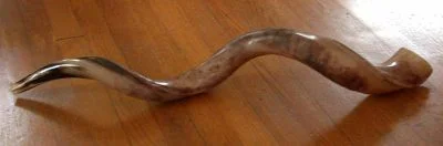 An animal horn trumpet.