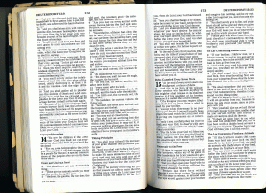 Deuteronomy 14-15, NKJV