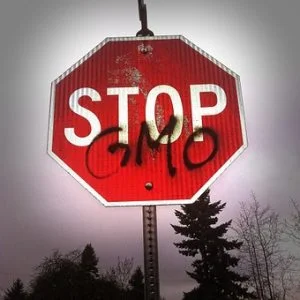 stop-gmo-300x300.jpg