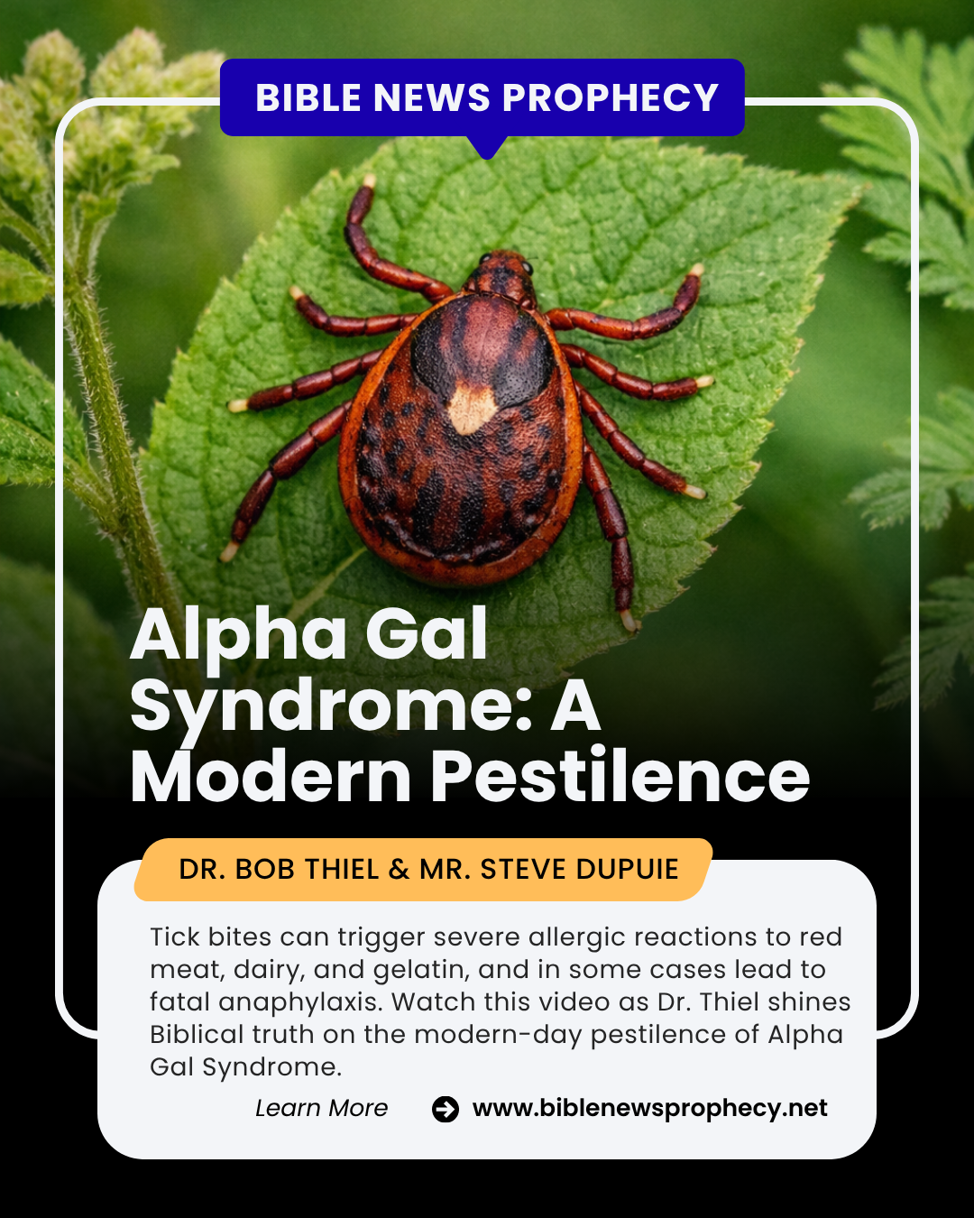 Alpha Gal Syndrome Jul26.png
