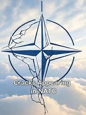 NATOCracks Grok AI illustration 300 x 400.jpg