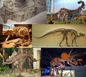 Dinosauria_montage_2-300x267.webp