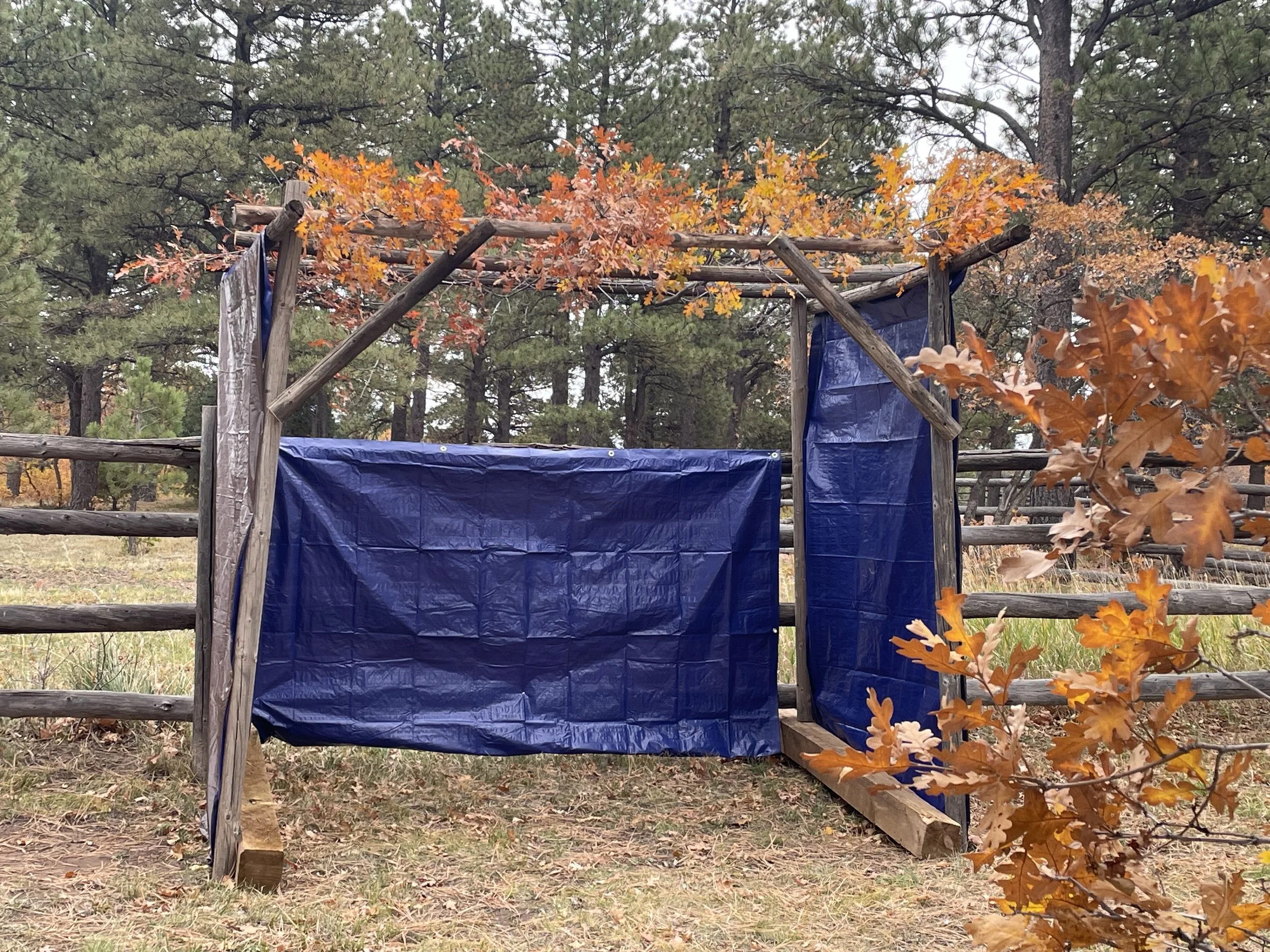 Shabbat and Sukkot on the Mesa