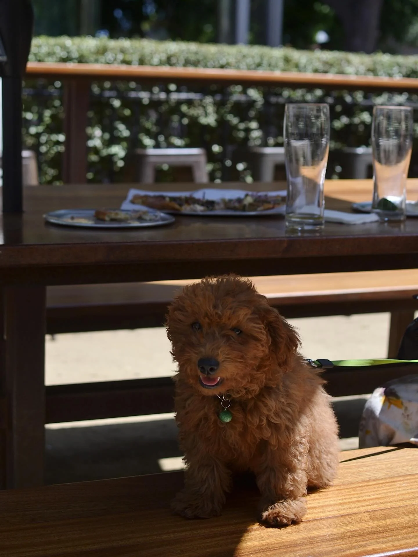 Did you know? It&rsquo;s Trivia Tuesday! Starting at 7pm in the Beer Garden! Grab your team and test your knowledge. 

#InstitutionAleCoSb #StateStreet