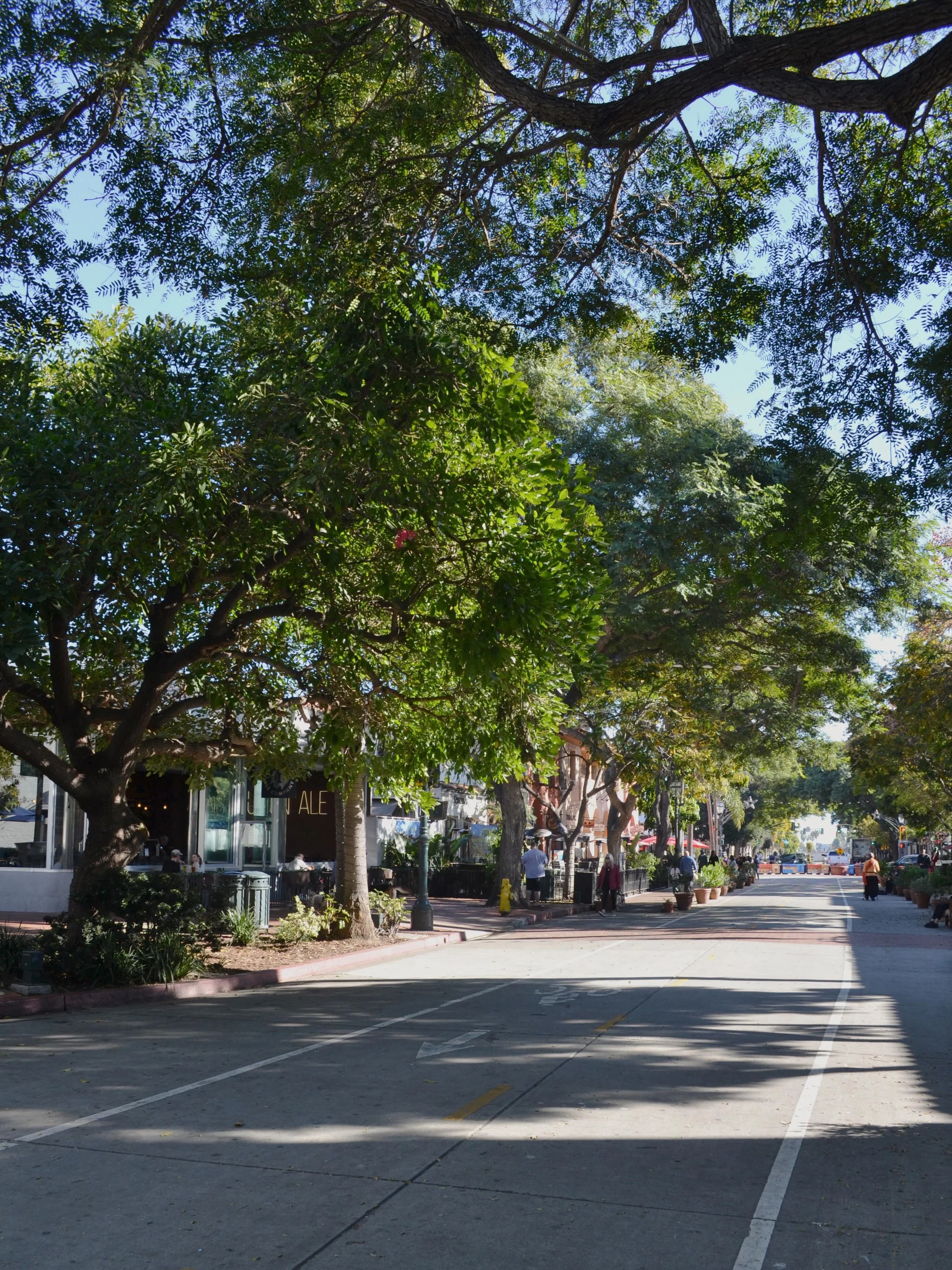 Sundays are for leisurely strolls down State St. and a pint (or two) at your favorite spot. 🍺

#InstitutionAleCoSb #StateStreet