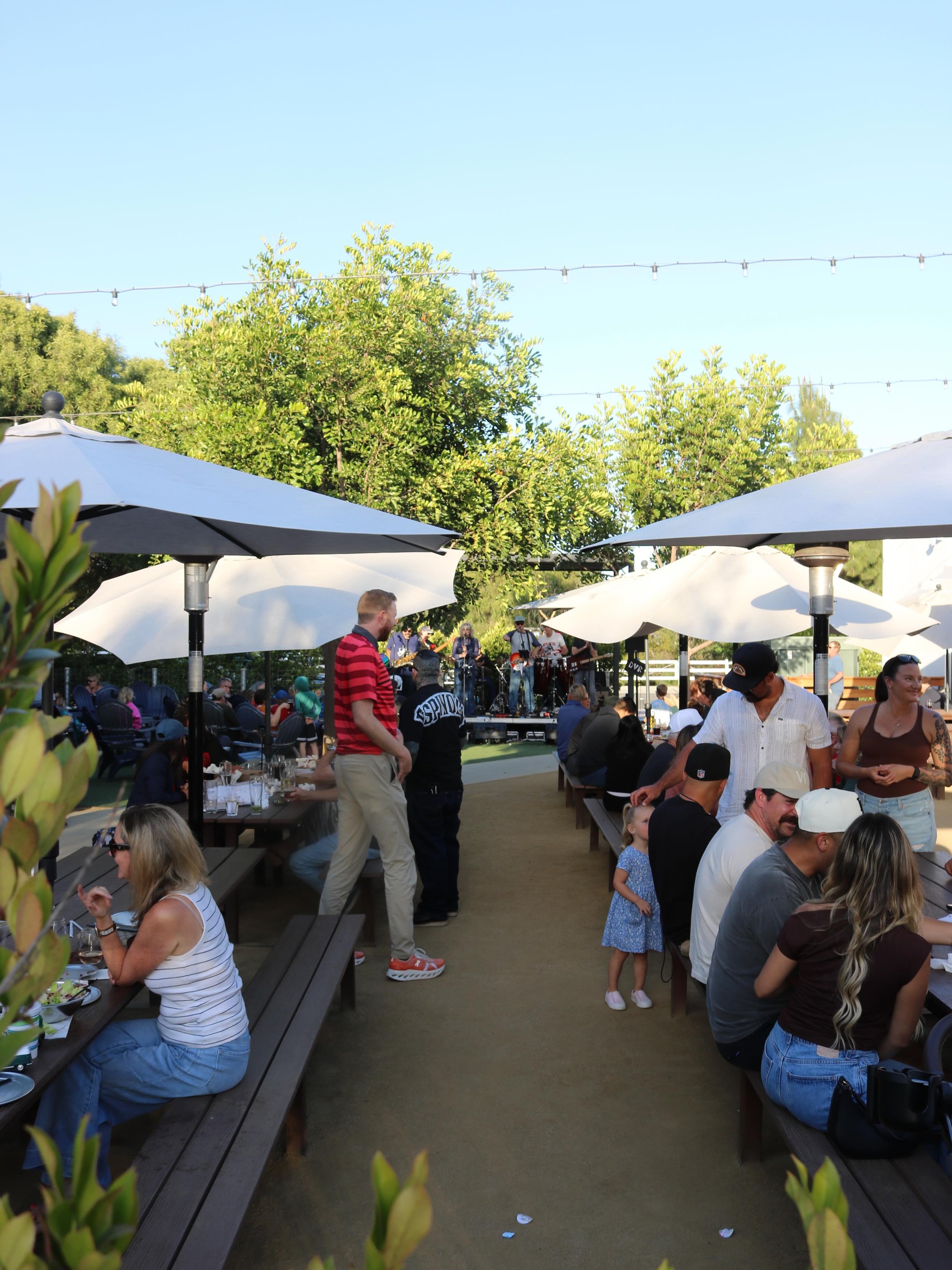 Live music tonight with @lookingwest.band 🤘🎶from 6-8pm! Come hang out and enjoy some tunes and beer 🍻

#InstitutionAleCo