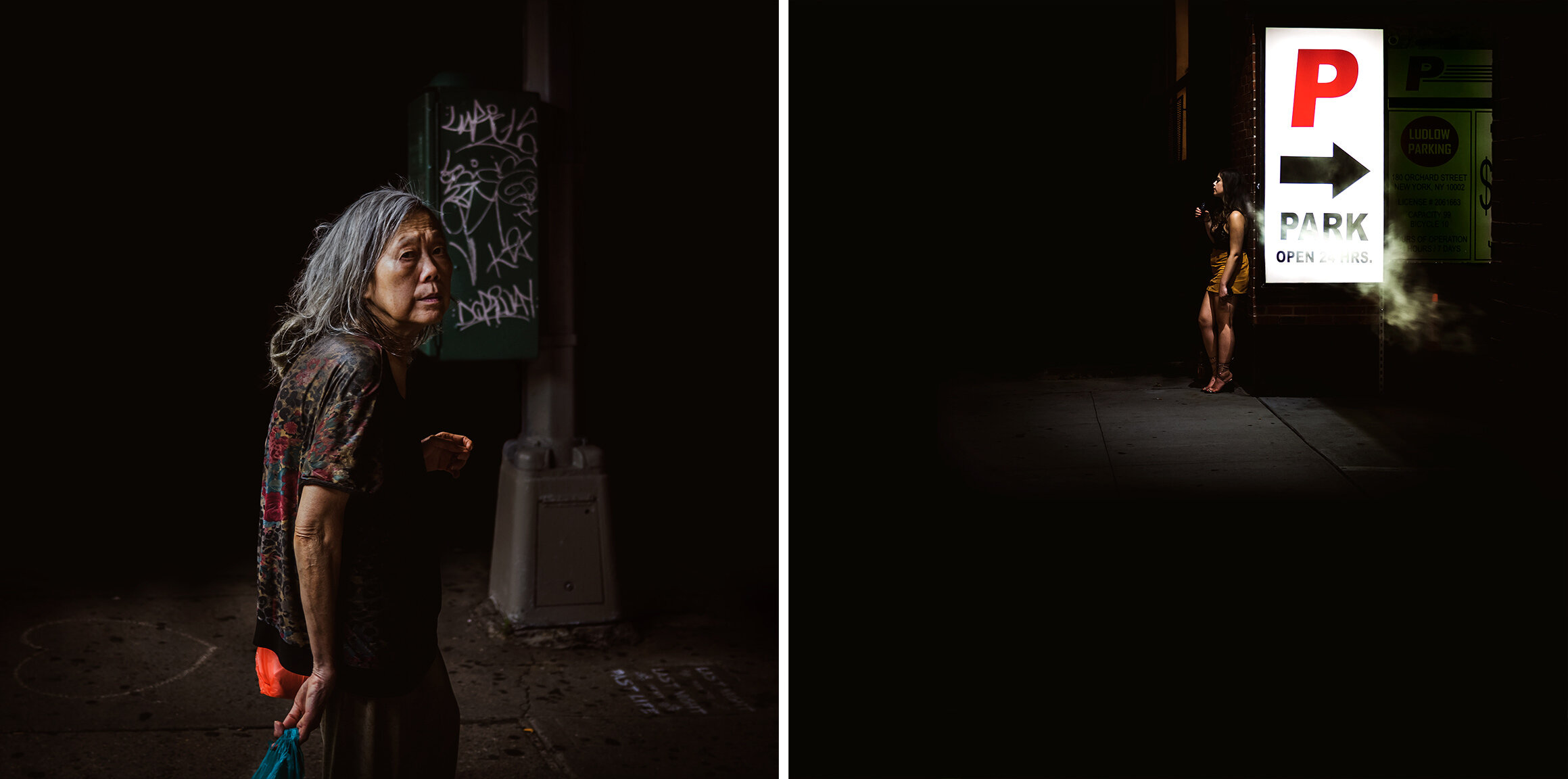  Nocturnal Creatures - #01, Diptych, 2021. C-print. 