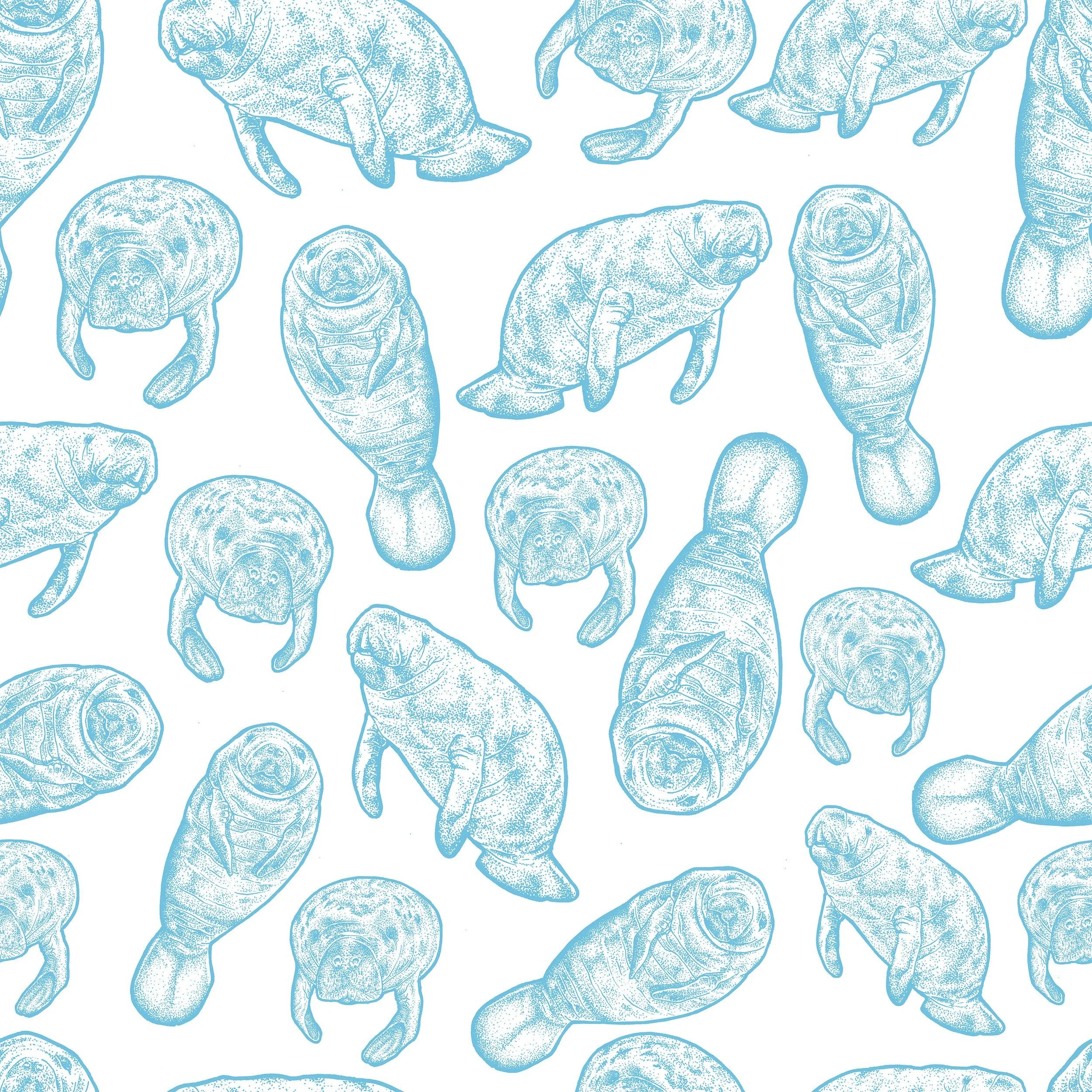 ManateeslightblueB.jpg