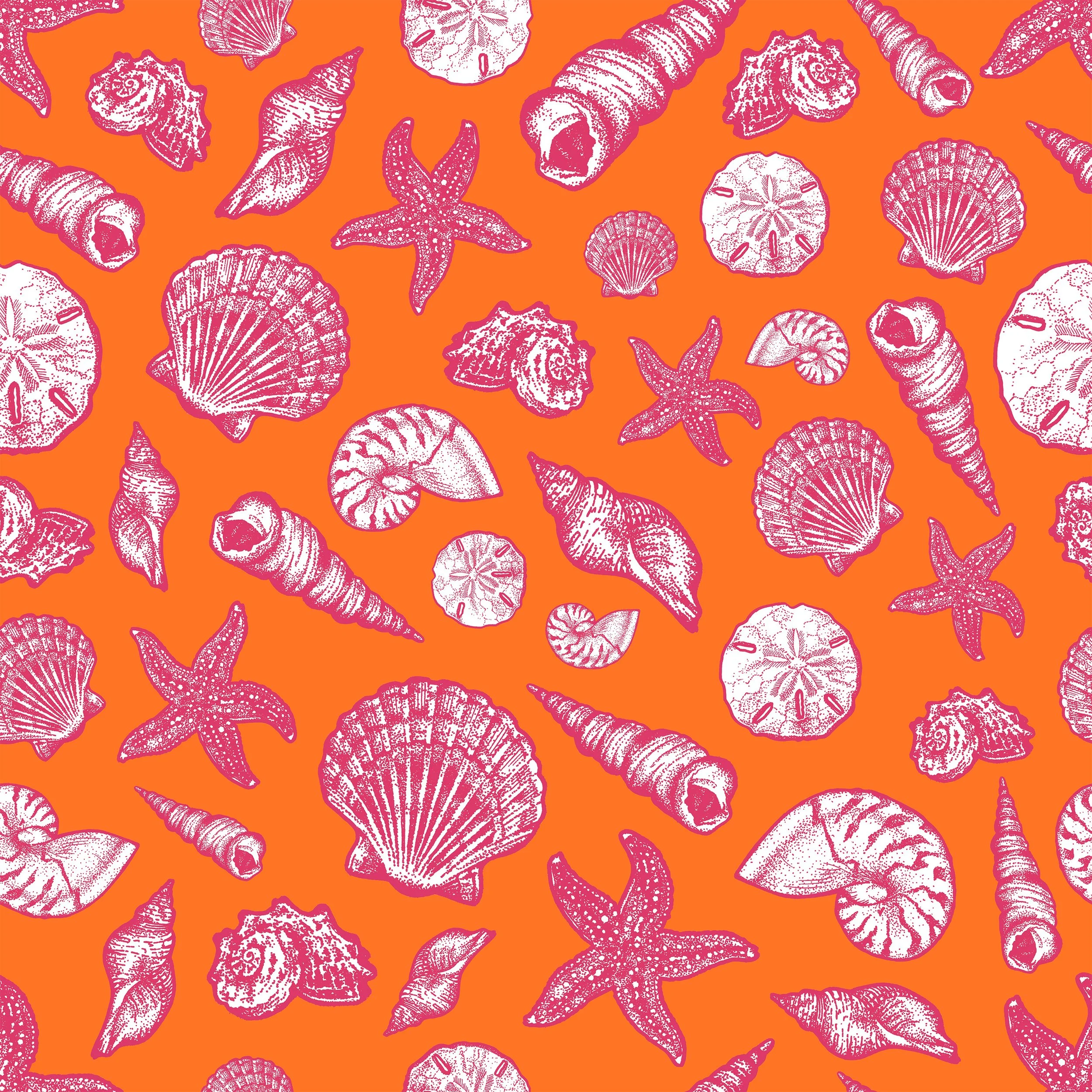 SeashellsPinkOrangeB.jpg