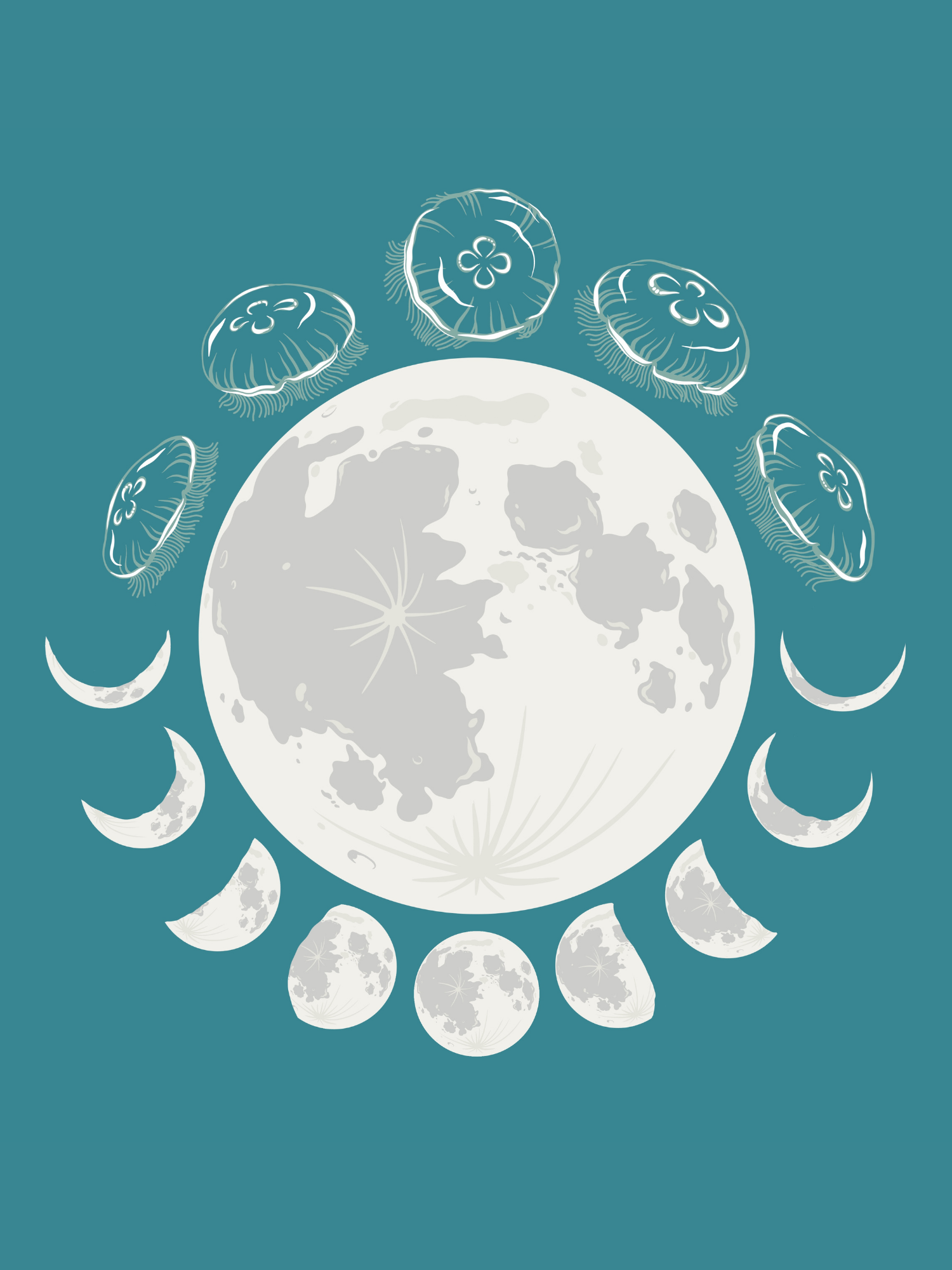 Full Moon with moon phases and moon jellies