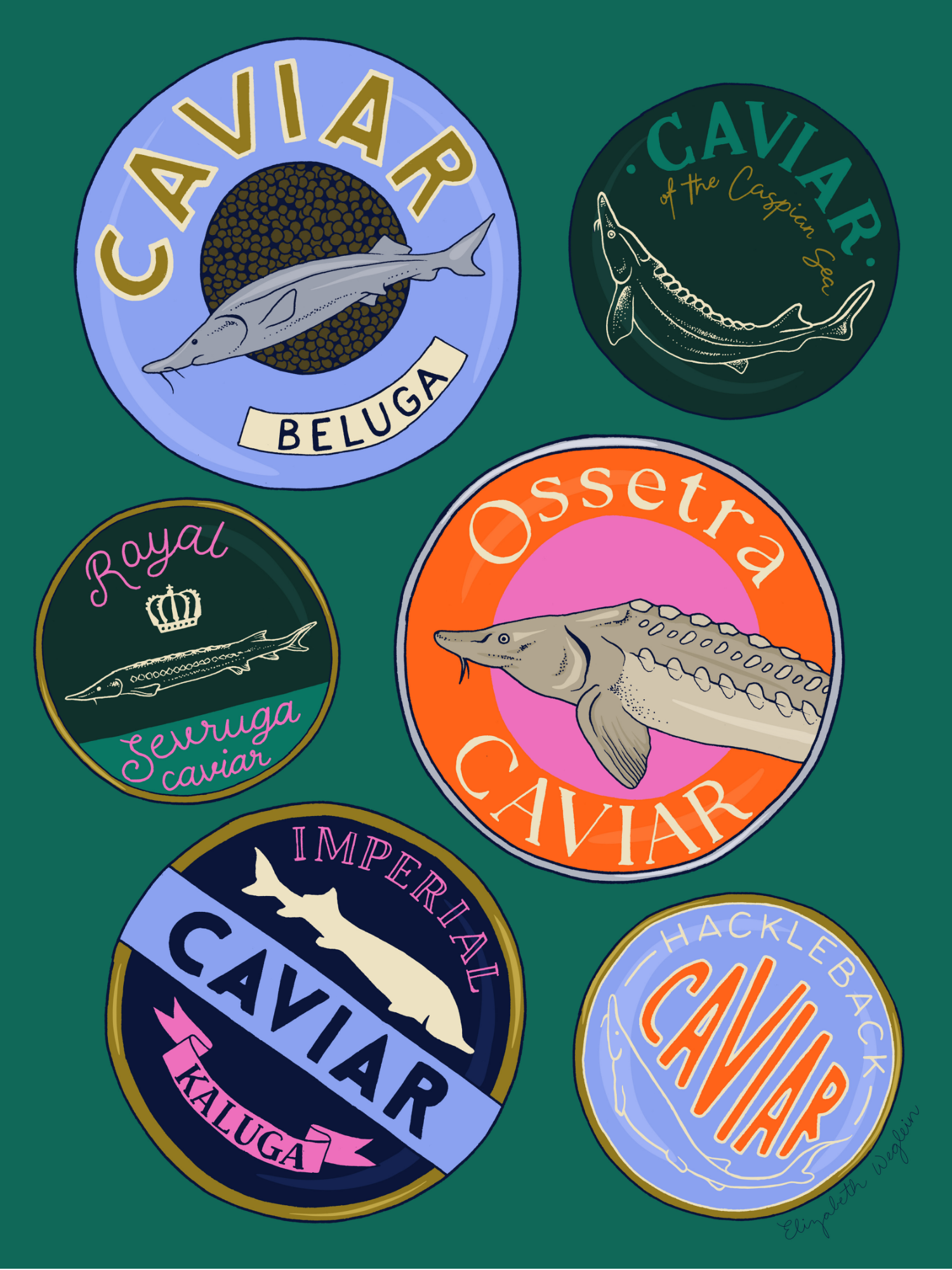 Illustration of caviar tins on teal background