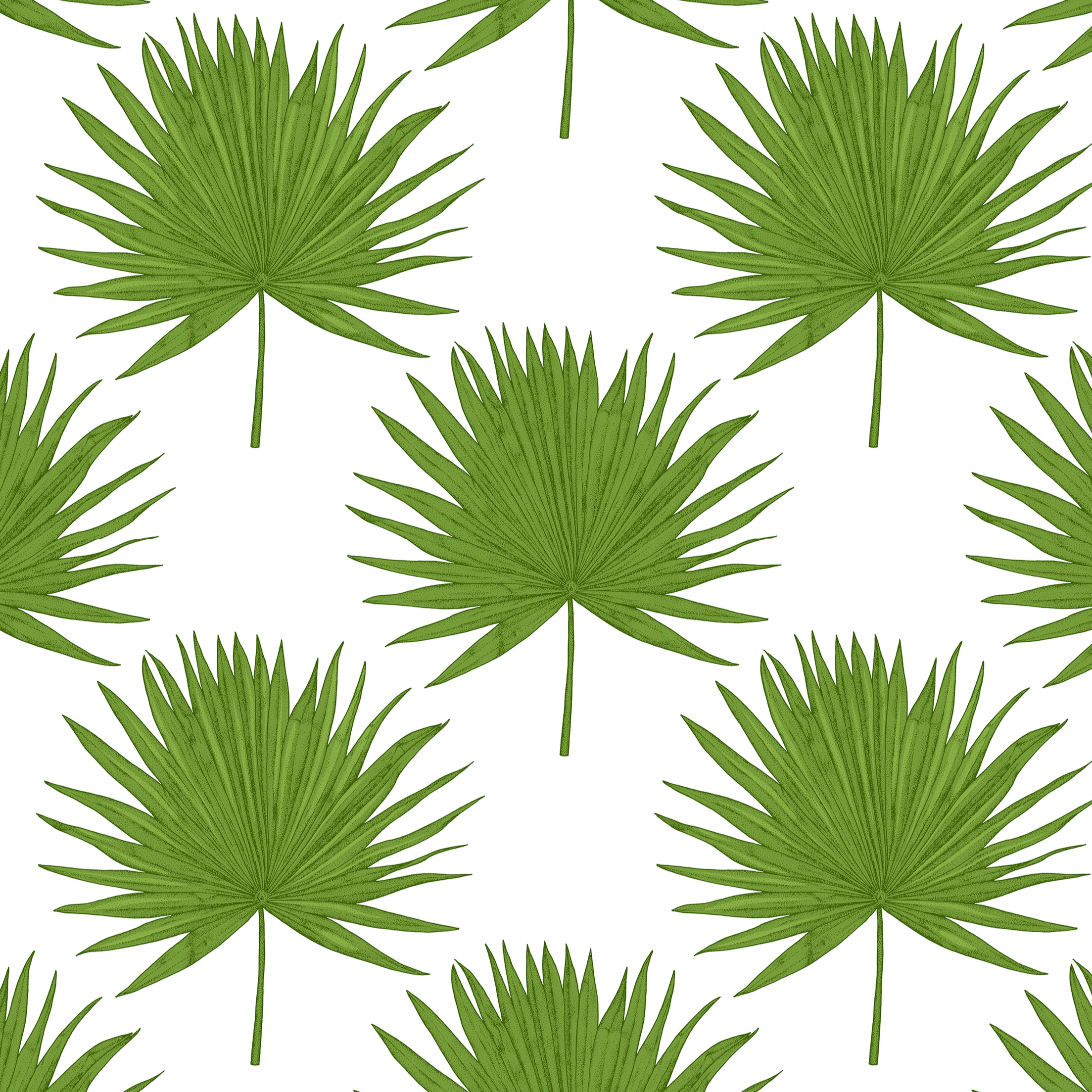 Green palmetto leaves on a white background